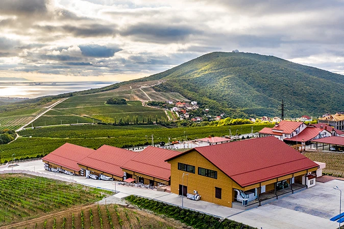Винодельня Château Pinot Винодельня Château Pinot